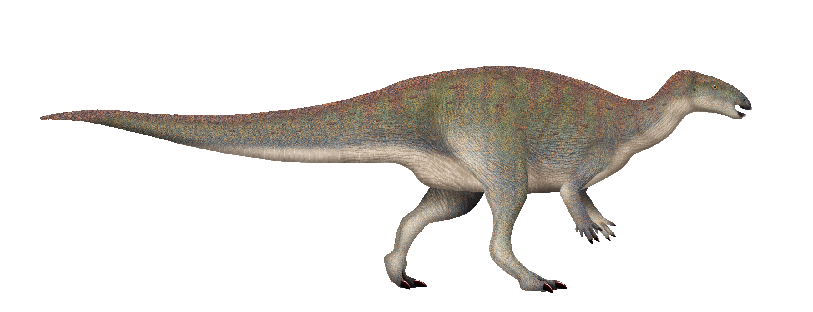 hesperonyx