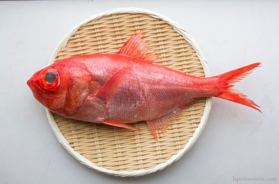 alfonsino-baliq-novu