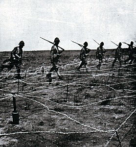 magersfonteyn-doyusu