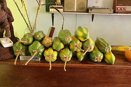 babako