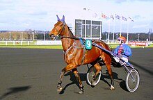 french-trotter-at-cinsi