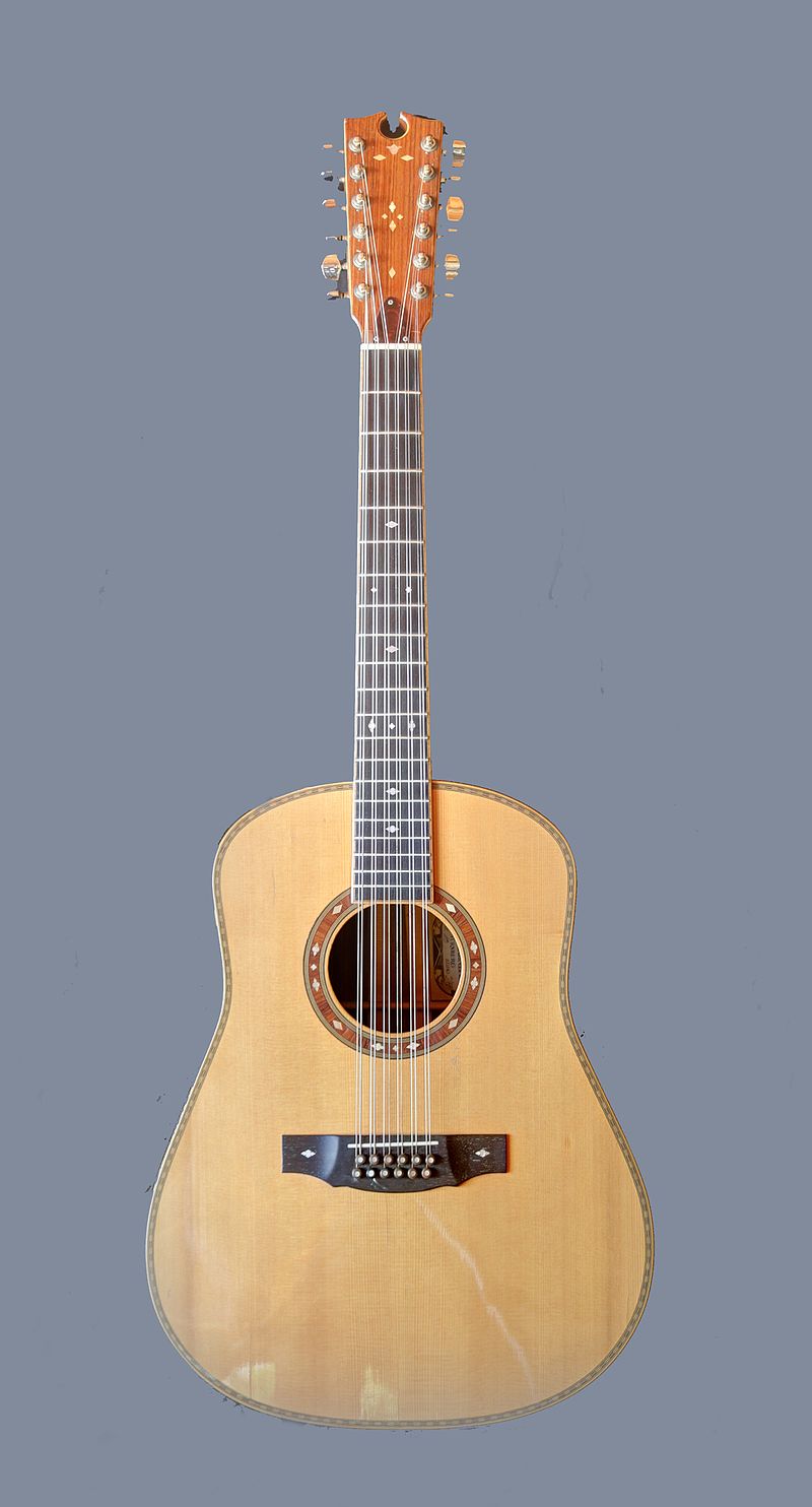 on-iki-telli-gitara
