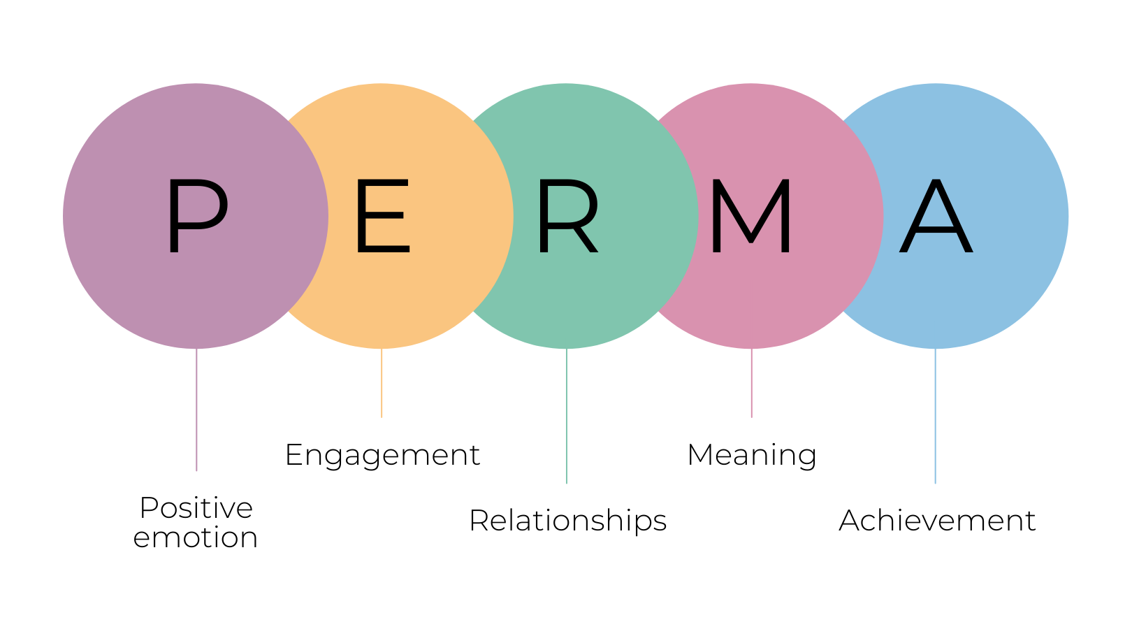 perma-modeli