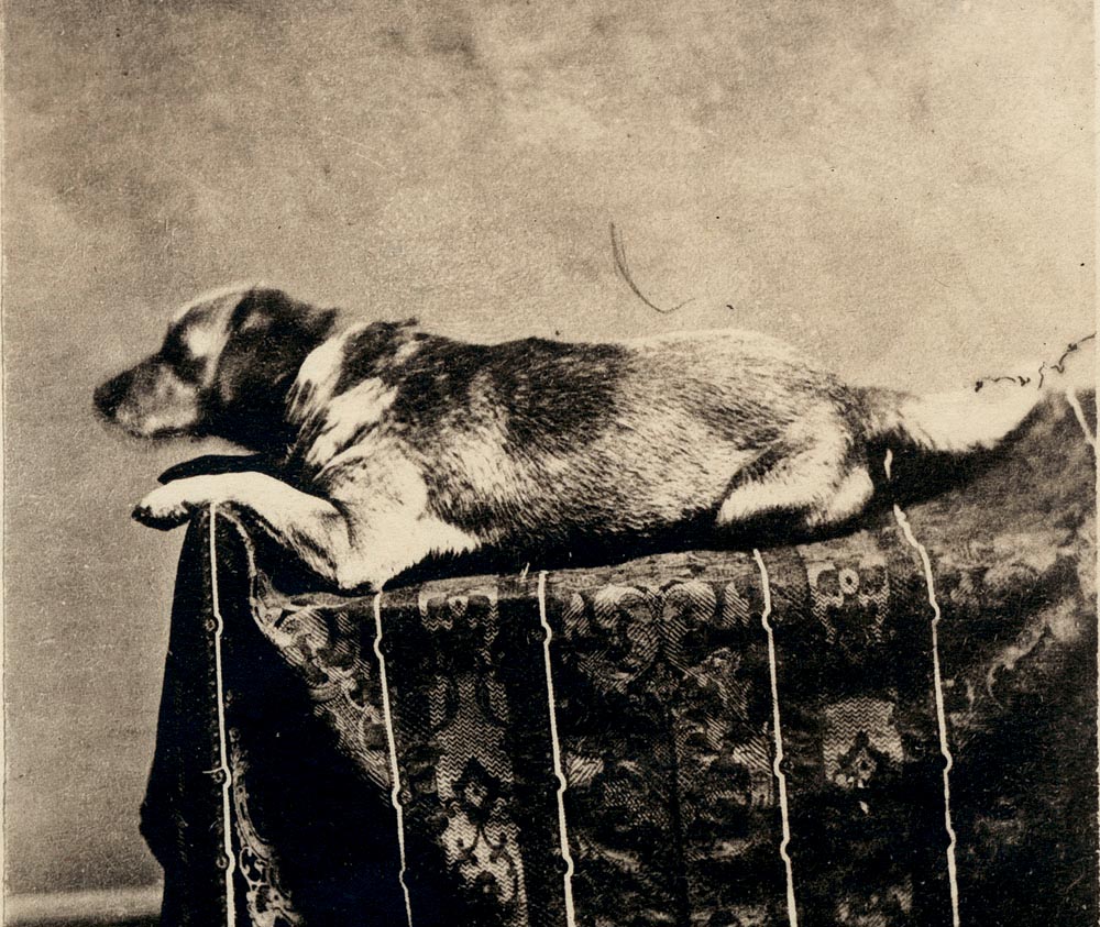 fido-avraam-linkolnun-iti