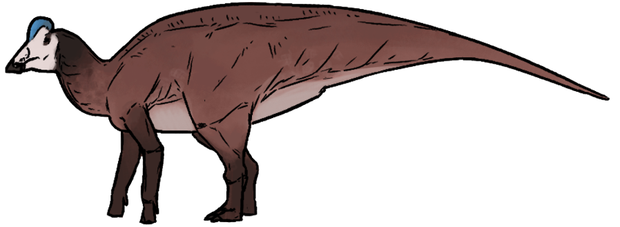 arenizavr
