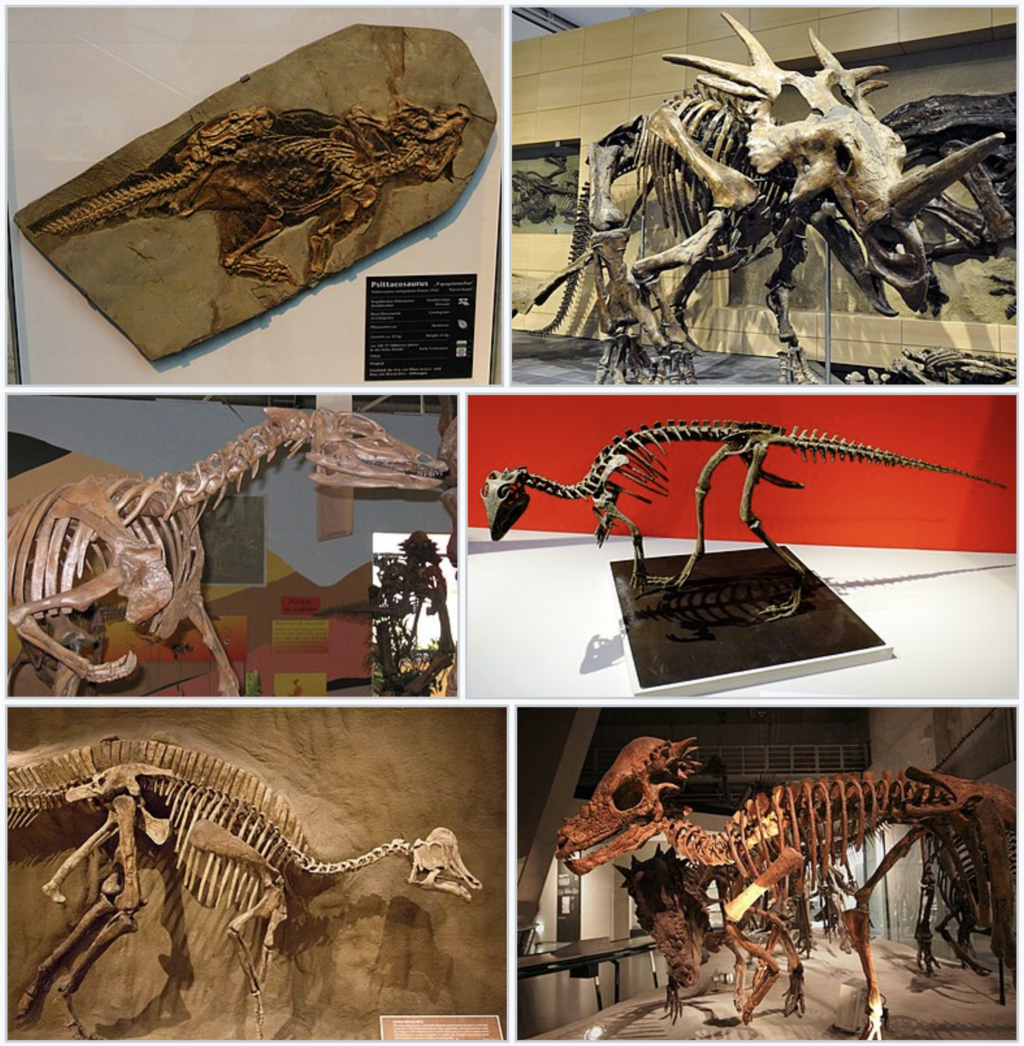 neornithischia-dinozavri