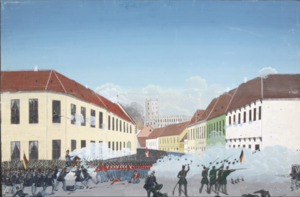 koldinq-doyusu