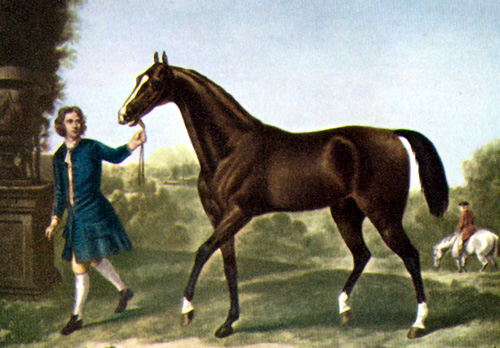 darley-arabian
