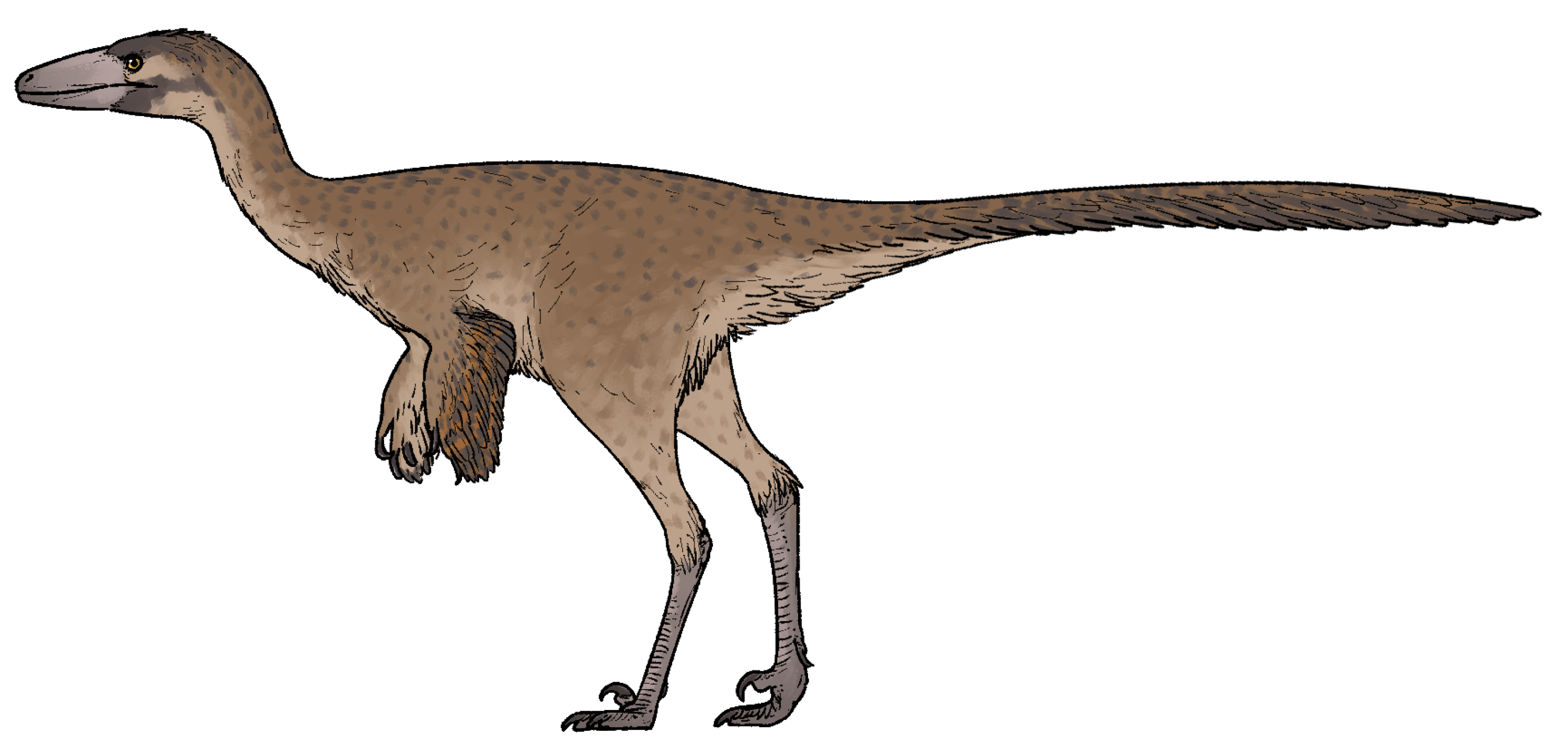harenadraco-dinozavr
