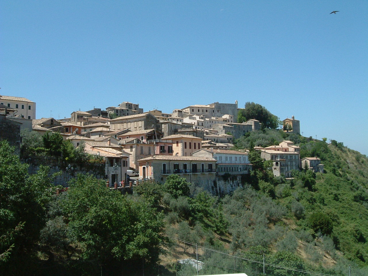 arpino