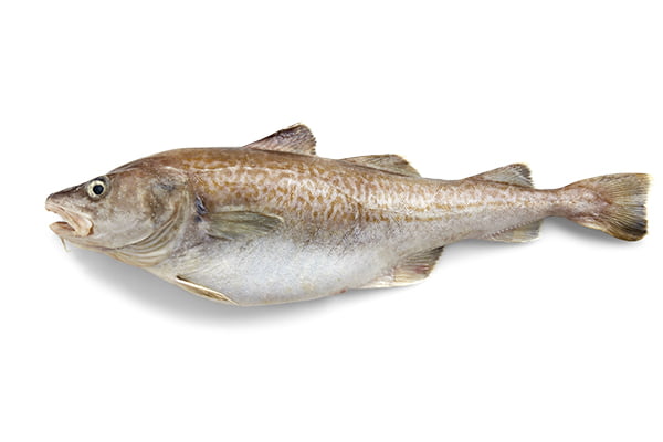sakit-okean-treskasi