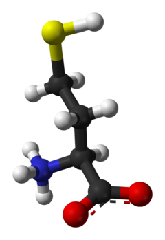 homosistein