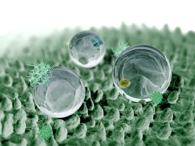 biomikri