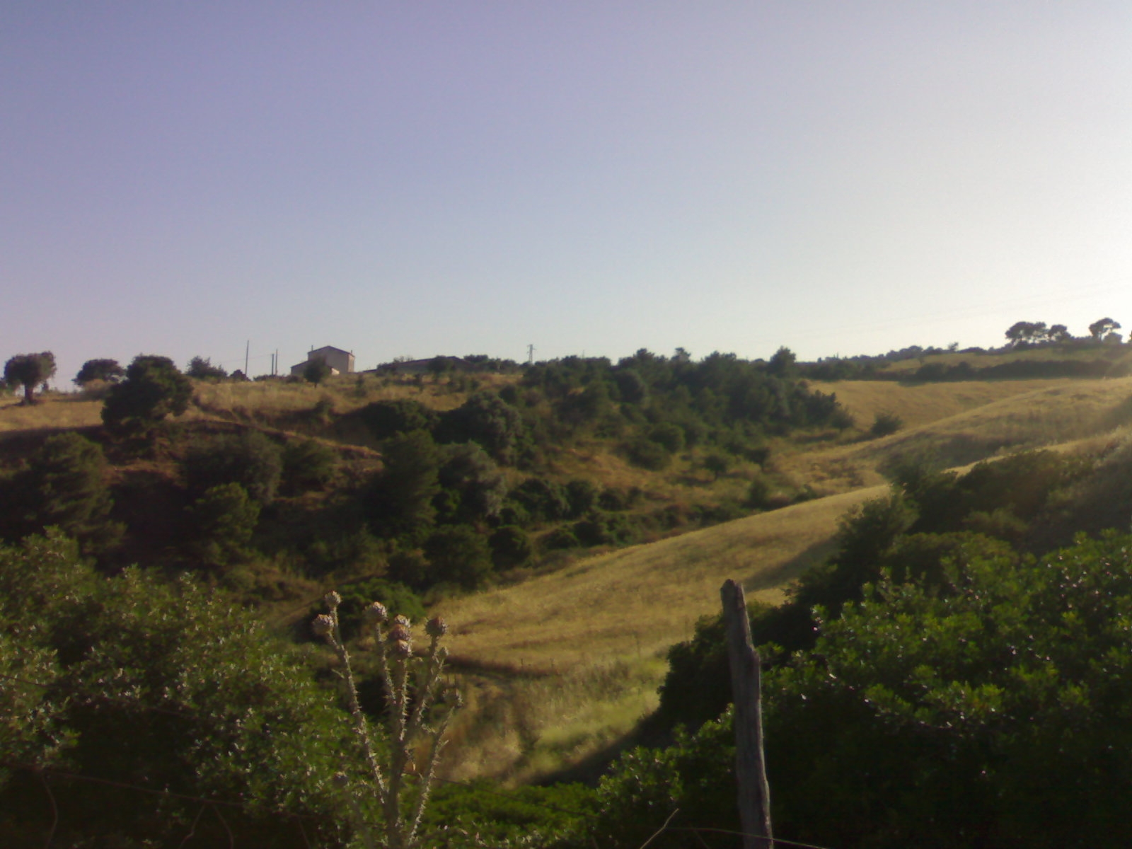amendolara