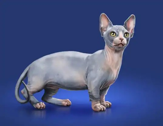 minskin-pisiyi