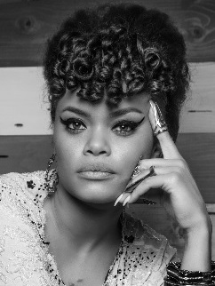 andra-day