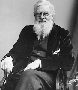 alfred-russel-wallace