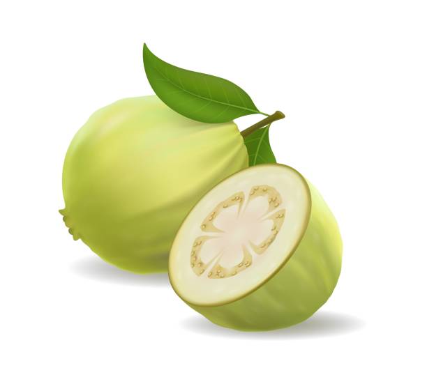 qvava-guava