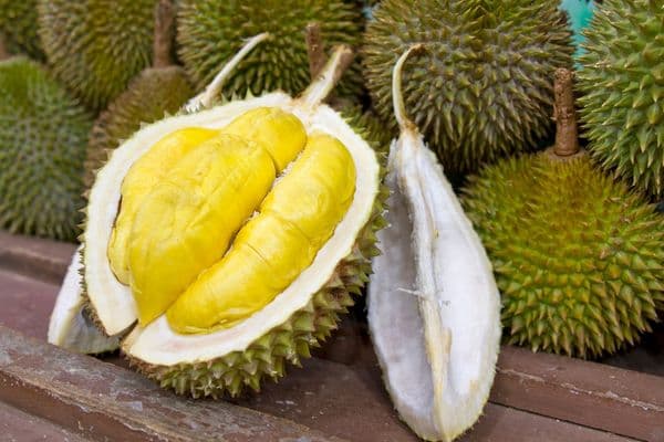 durian-meyve