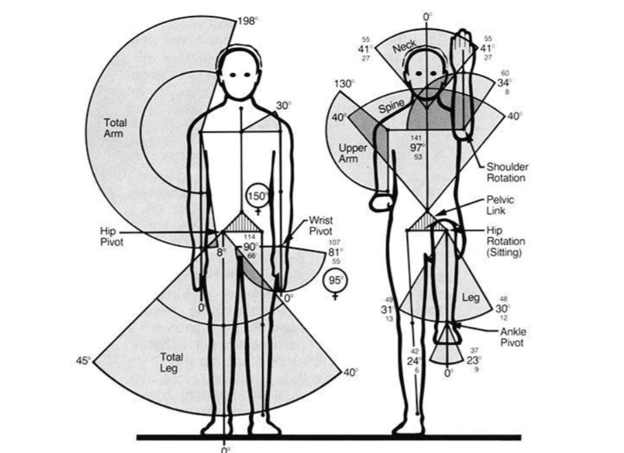 jack-dinamik-antropometrik-modellesdirme-sistemi