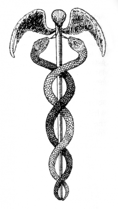 kadukeus
