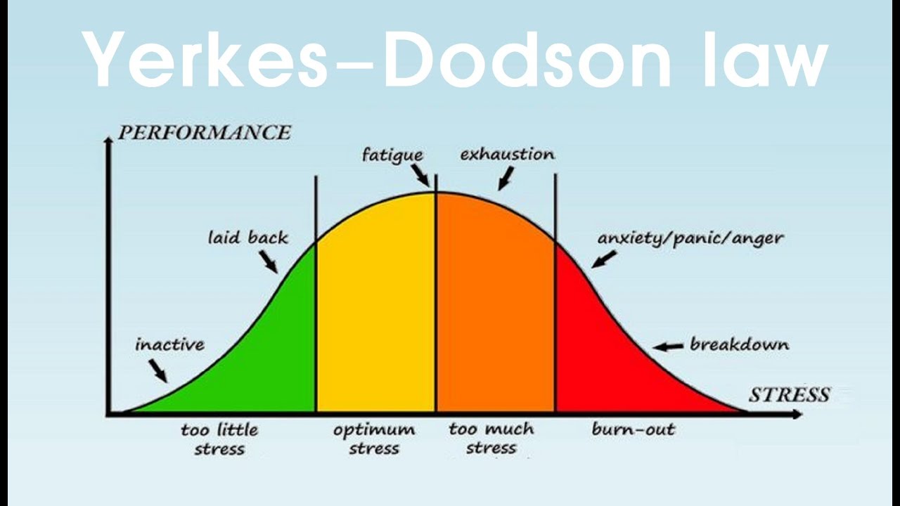 yerkes-dodson-qanunu