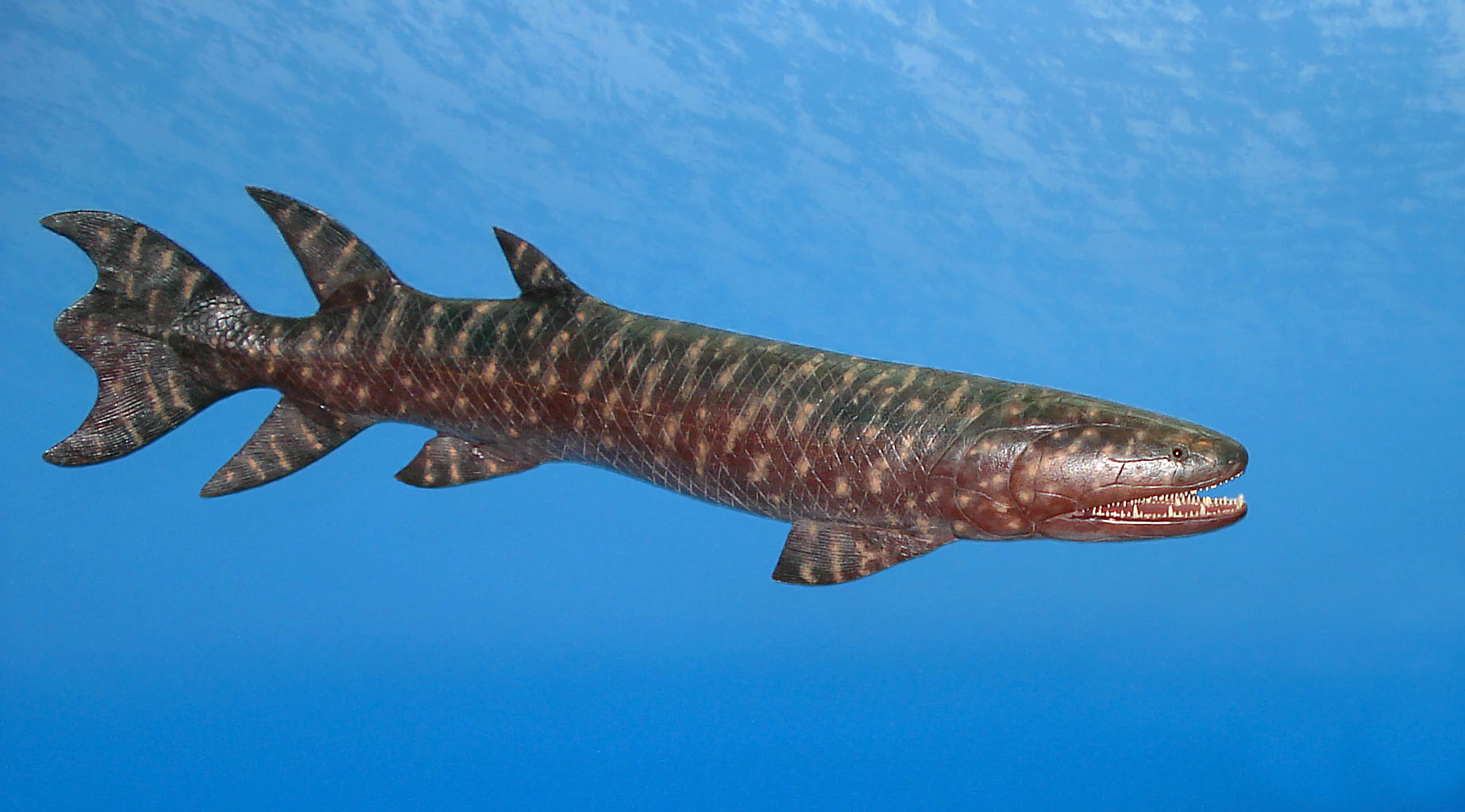 eusthenopteron