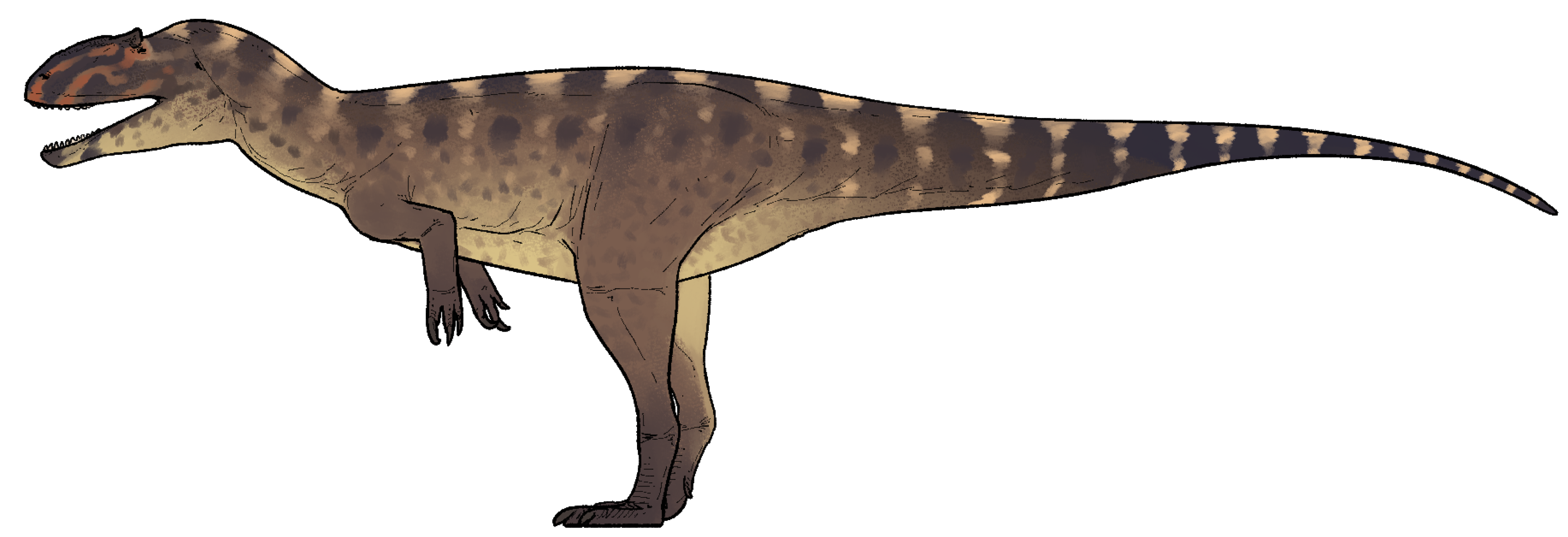 yuanmouraptor