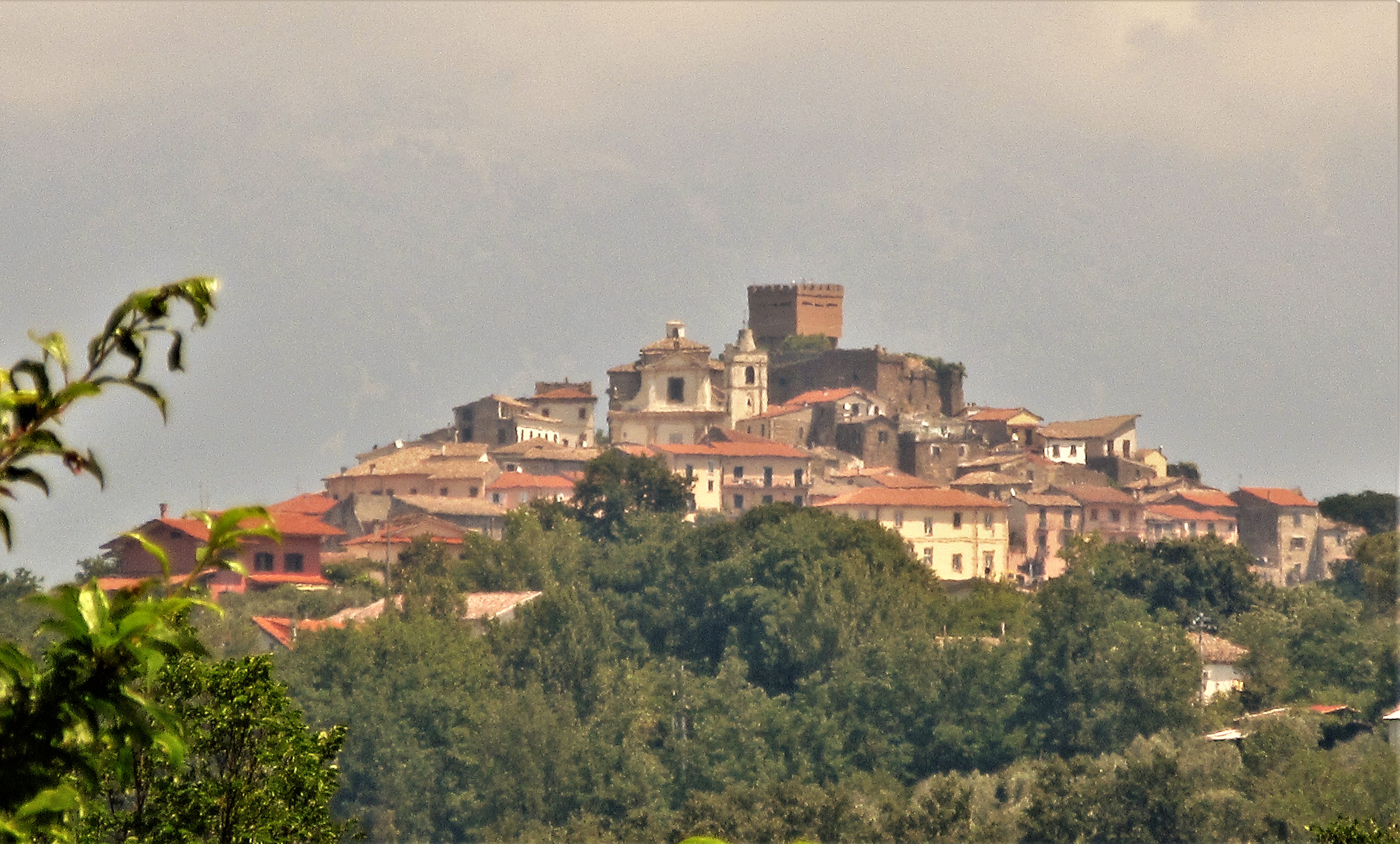 arnara