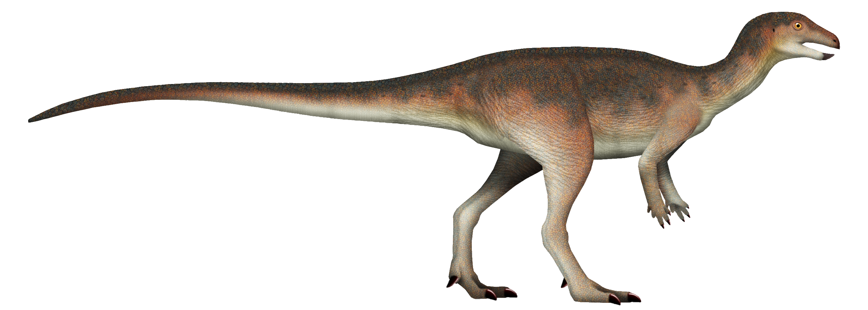 enigmacursor