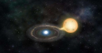 am-canum-venaticorum