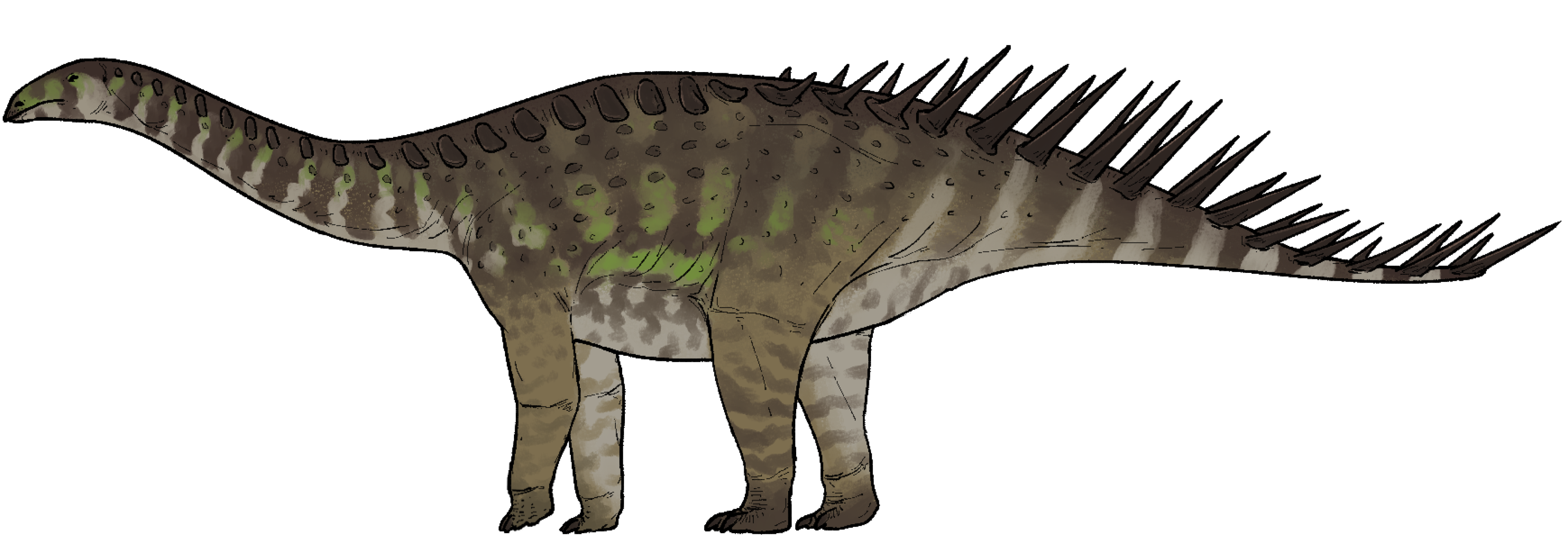 thyreosaurus
