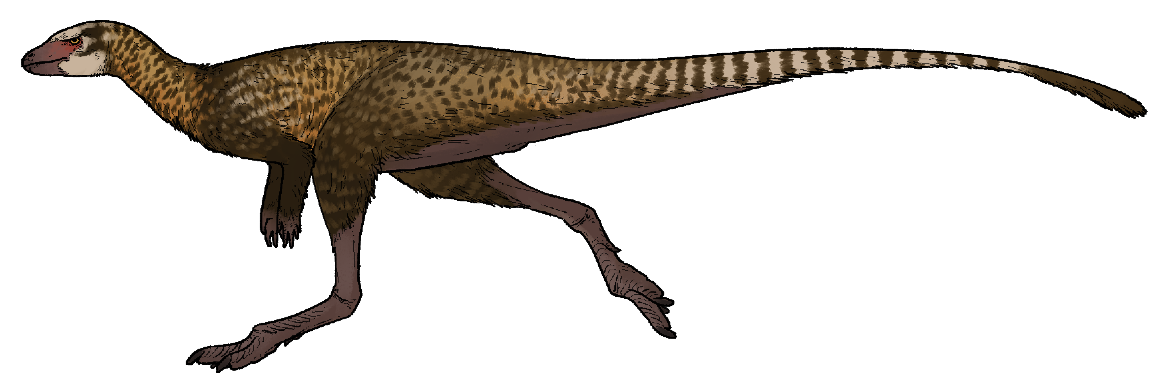 arxeokursor