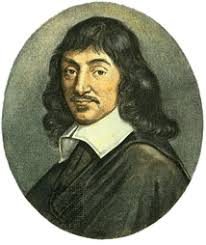 vitello